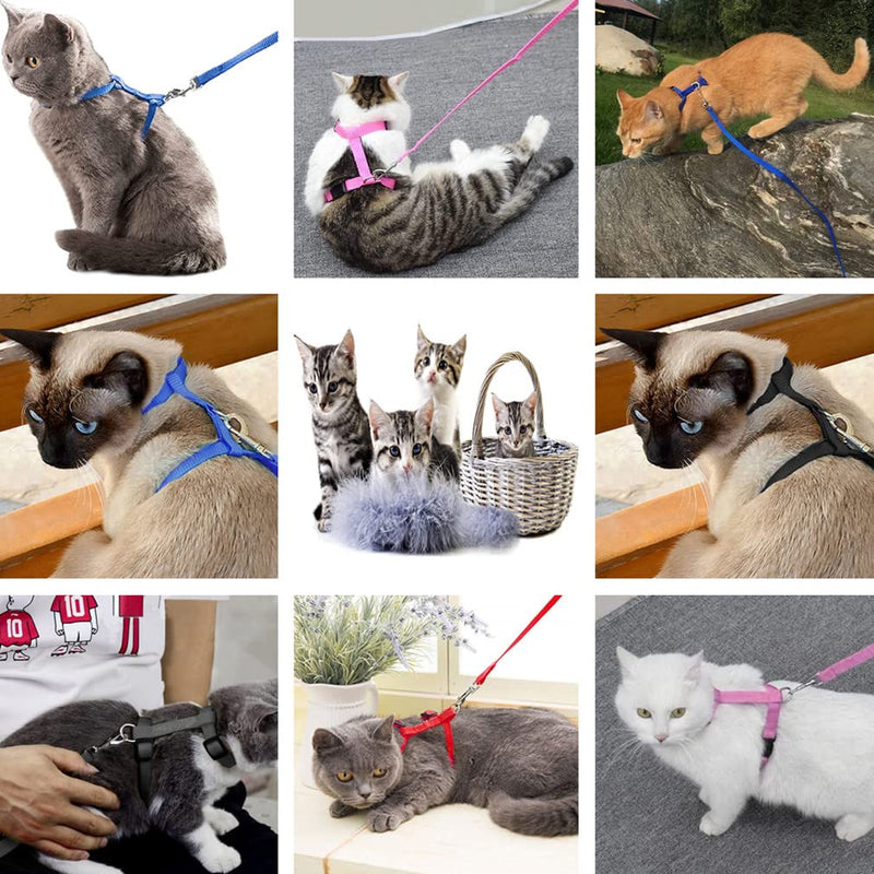 Morices 2 Pack Cat Harness and Leash, Adjustable Comfortable Nylon Pet Strap Collar with Leash, Escape Proof Safety Rope Leads Chest Strap for Kitten Puppy Rabbits Walking Training (Black & Red) Black+Red - PawsPlanet Australia