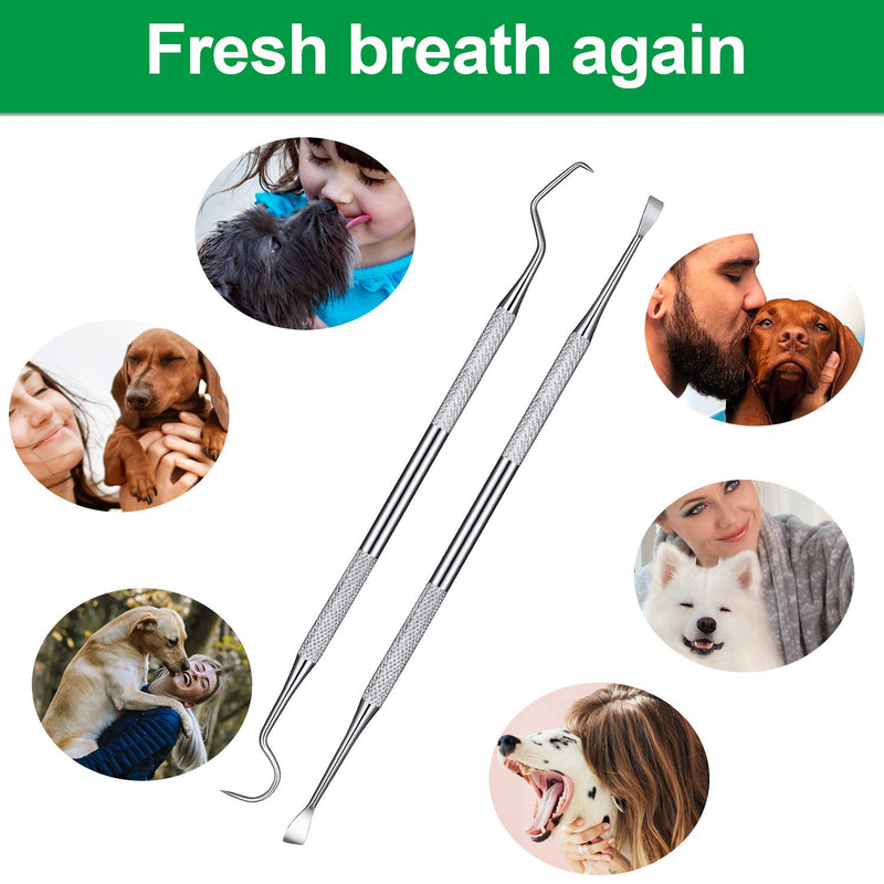 Mudder 4 Pieces Pet Tooth Scaler and Scraper Set Stainless Steel Pet Teeth Cleaning Tool Tartar Remover for Dogs Cats - PawsPlanet Australia