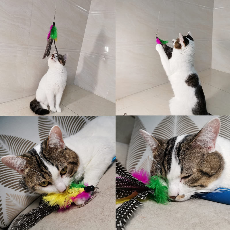 TIENAILING Cat Feather Toys Interactive Cat Toy Wand Set 2PCS Retractable Cat Wand and 10PCS Worms Birds Feathers Refill with Bells, Interactive Teaser Funny Exercise for Kitten Cats - PawsPlanet Australia