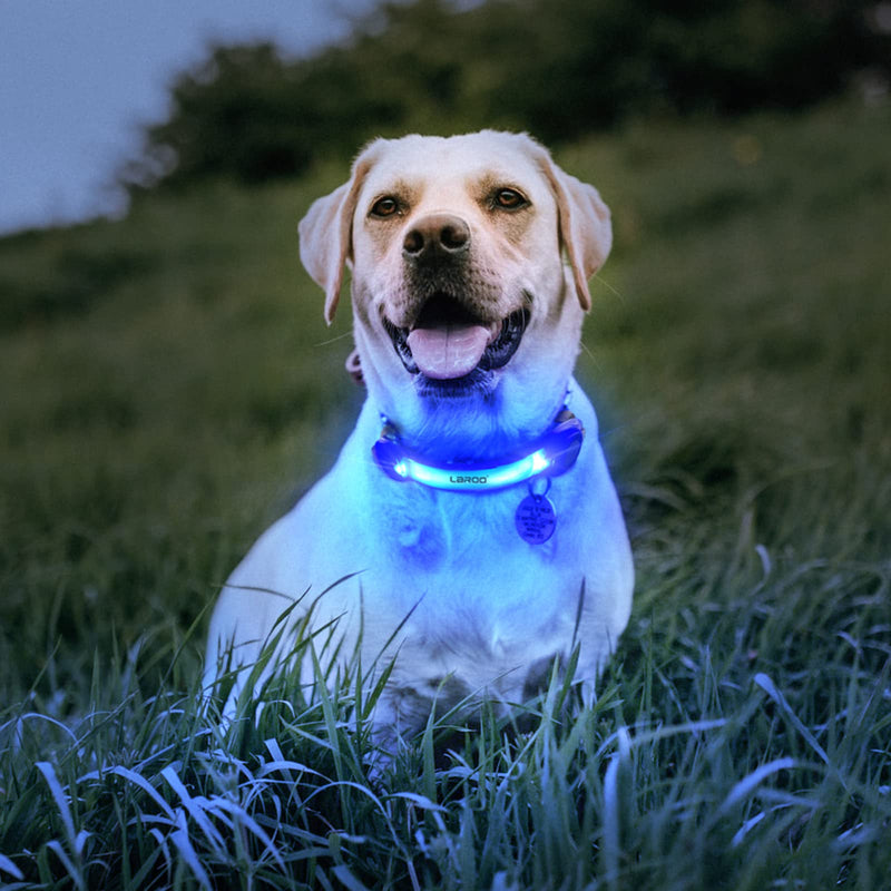 LaRoo Light Up Dog Collar with Nylon Stickers, Universal Glowing Collar Accessories for Leash Harness, Silicone Waterproof Dog LED Flashing Collar Night Outdoor Safety Blue - PawsPlanet Australia