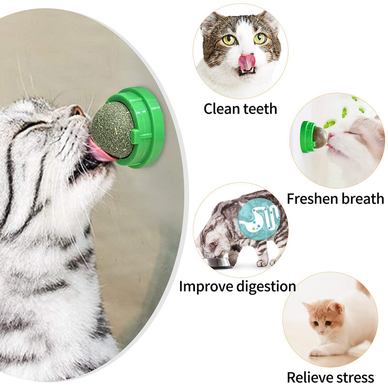 Malier 3 Pack Catnip Balls, Edible Catnip Wall Balls Cat Toys, Rotatable Natural Cat Chew Toys Lick Toys, Teeth Cleaning Dental Catnip Toy for Cats Kitten Kitty Green - PawsPlanet Australia