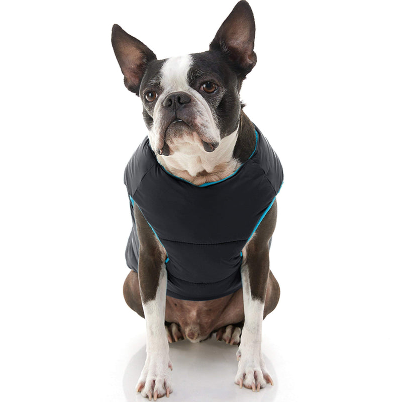 [Australia] - Gooby Padded Dog Vest - Zip Up Dog Jacket Coat with D Ring Leash - Small Dog Sweater with Zipper Closure - Dog Clothes for Small Dogs Girl or Boy for Indoor and Outdoor Use X-Small chest (~13") Black Solid 