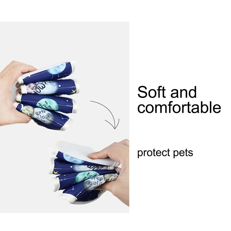 1 pet collar, 2 cat teasing toys, cat bite protection, suitable for postoperative recovery of dogs and cats - PawsPlanet Australia