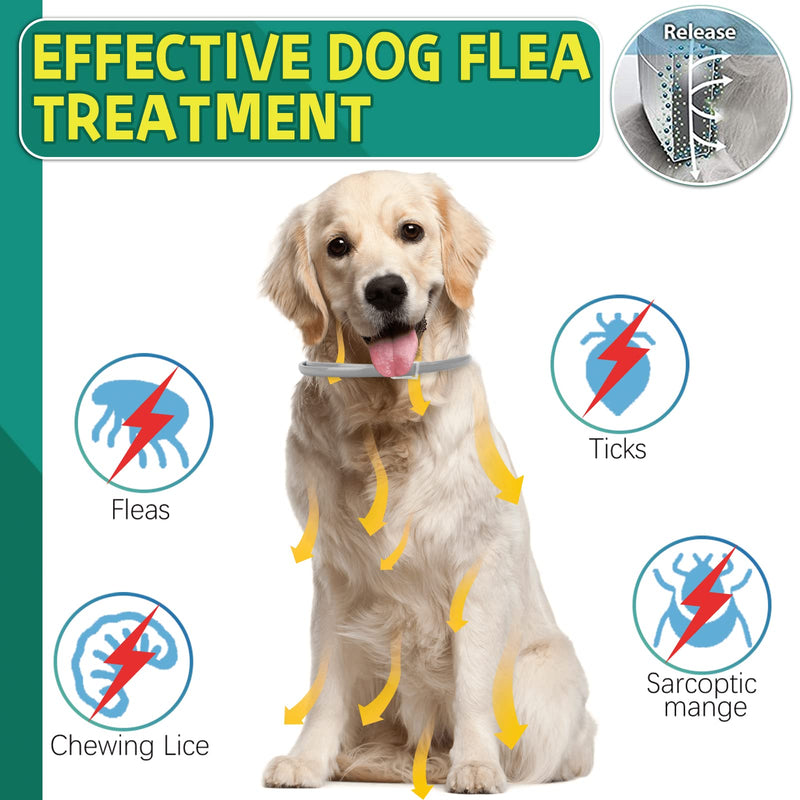 Flea and Tick Collar for Dogs, 63.5cm Adjustable and Waterproof Flea Collar for dogs, 8 Months Valid Flea Collar with Tick Control, Suitable Small Medium and large dogs (UK-1p) UK-1p - PawsPlanet Australia