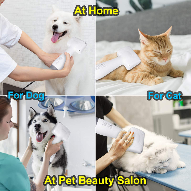Pet Dog Hair Dryer Brush - 2021 Newest Dog Hair Grooming Dryer Blower Slicker Brush with 3 Wind and Temperature Settings, 2-in-1Function with Dryer and Brush for Small and Medium Dogs and Cats (White) - PawsPlanet Australia