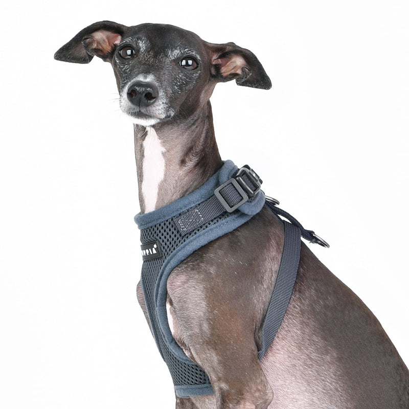 Puppia RiteFit Harness Small GREY - PawsPlanet Australia