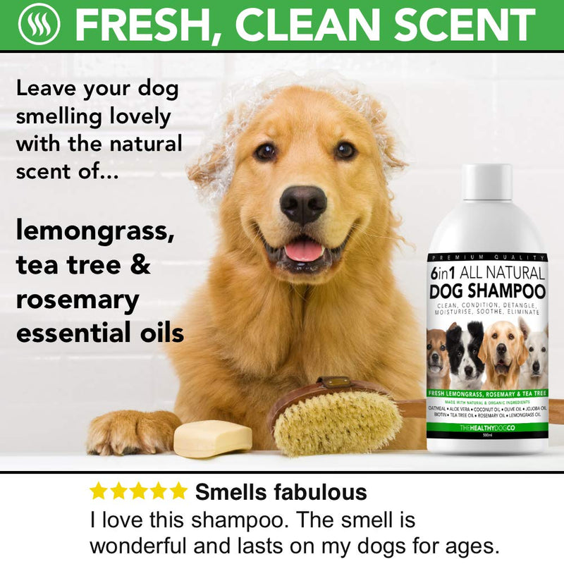6 in 1 All Natural Dog Shampoo | Fresh Lemongrass, Rosemary & Tea Tree | 500ml | The Best Pet Wash to Groom, Clean, Condition, Detangle, Moisturise, Relieve Itching, Eliminate Germs, Deodorise - PawsPlanet Australia