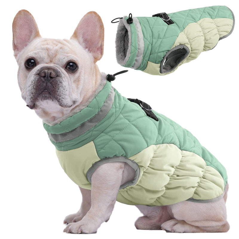 Kuoser Warm dog coat, windproof dog jacket, reflective dog coat for small dogs, dog coat winter outside, dog coat large dogs with zip with zip green M - PawsPlanet Australia
