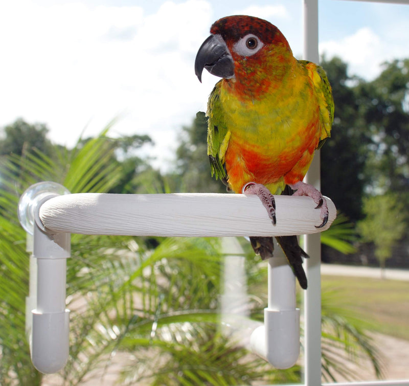 FeatherSmart Bird Parrot Shower Perch Small Round - PawsPlanet Australia