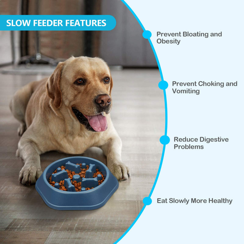 UPSKY Slow Feeder Dog Bowl Anti-Chocking Dog Feeder Bone Pattern Interactive Dog Food Bowl Non-Slide Healthy Design Dog Lick Bowl for Medium Small Dogs blue - PawsPlanet Australia