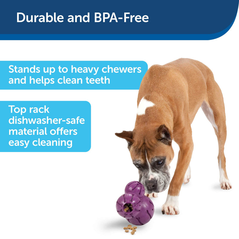 [Australia] - PetSafe Busy Buddy Barnacle Treat Dispensing Dog Toy Medium 