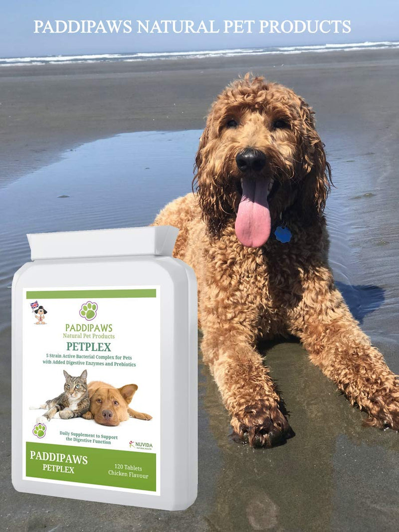 PADDIPAWS Petplex Active Bacteria supplement with added Digestive Enzymes and Prebiotics to provide the ultimate digestive aid and healthy gut bacteria Probiotic Supplement for Dogs and Cats - PawsPlanet Australia