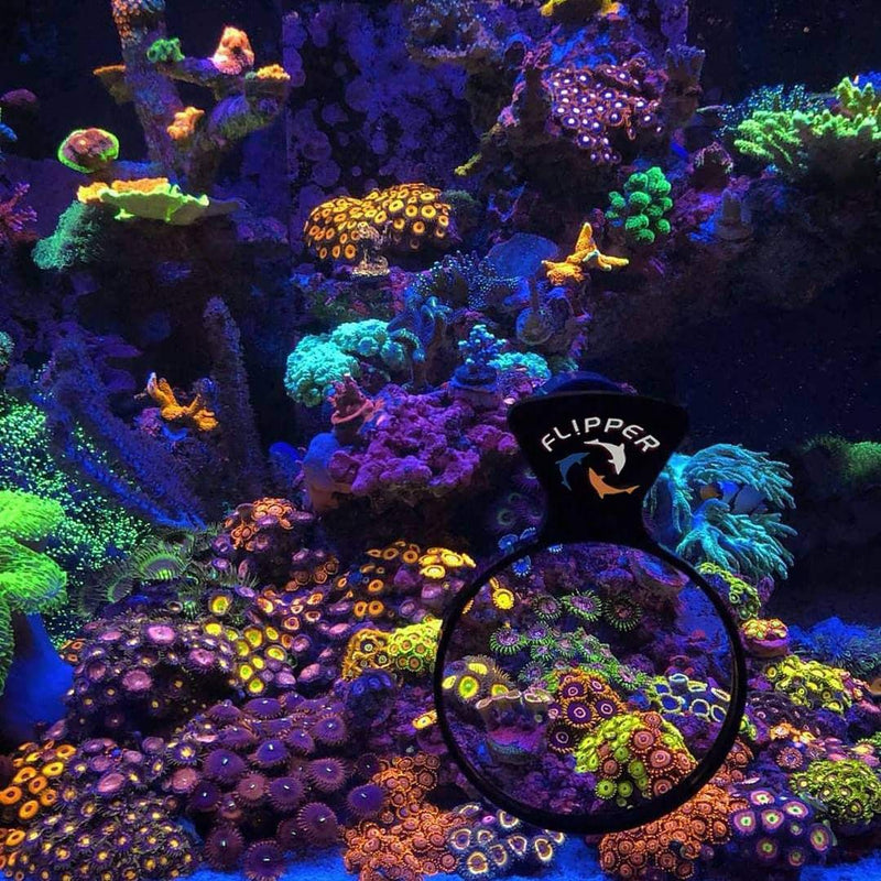 [Australia] - FL!PPER DeepSee Aquarium Magnifier Magnetic Viewer 4" Viewer 