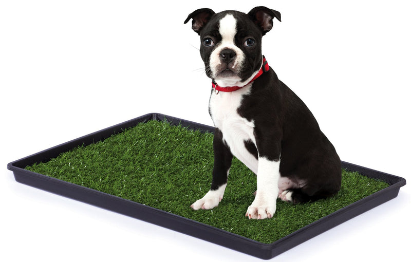 Prevue Pet Products Tinkle Turf for Small Dog Breeds, 23-Inch by 16-Inch Small dog breeds, 23 x 16 inch - PawsPlanet Australia