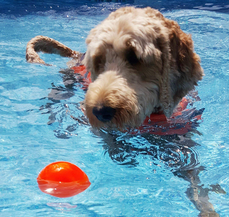 [Australia] - Ruff Dawg Ball XL Solid Rubber Dog Toy Large Assorted Neon Colors 
