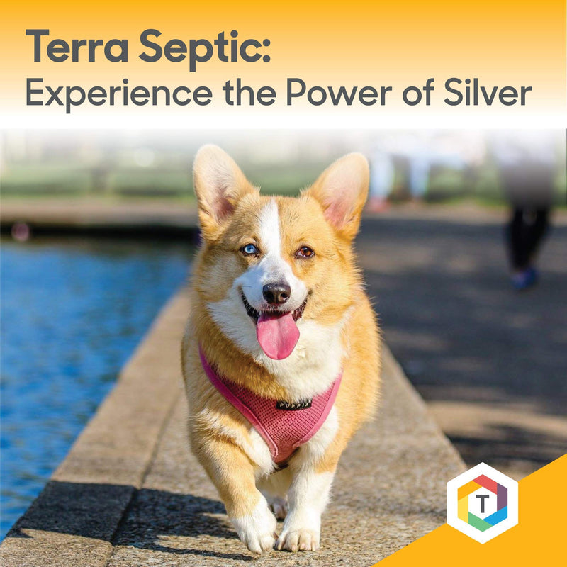 Thomas Pet Terra Septic - Silver Solution for Dogs & Cats - Helps with Seasonal Allergies, Runny Eyes, & Tear Stains - (30 Milliliters) - PawsPlanet Australia