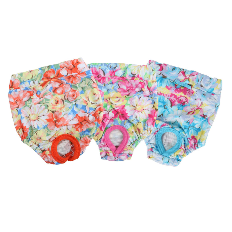 [Australia] - Puppia Spring Garden Sanitary Panty Small Sky Blue 