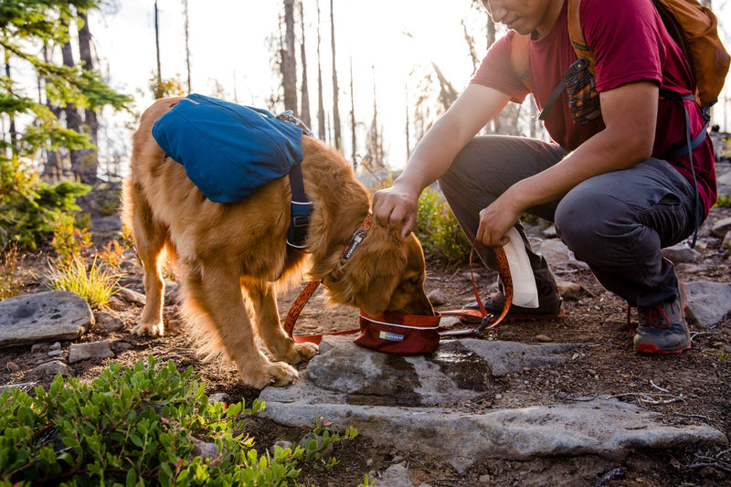 RUFFWEAR Quencher Bowl, Portable Dog Travel Bowl for Food and Water, Fired Brick, Small S - PawsPlanet Australia