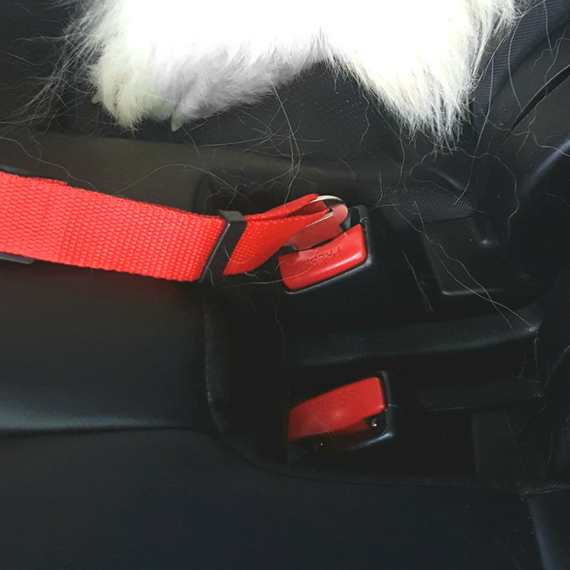 [Australia] - Avinko Ultimate Pet Seat Belt Dog Car Safety Harness Lead/Adjustable Length, Sturdy Manufacture, Eco-Friendly Dog Seat Belt for Dogs & Cats/Travel w/Your Pet in Comfort & Safety 