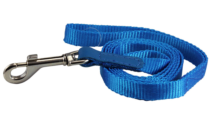 [Australia] - Dog Leash 1/2" Wide Nylon 5ft Length with Leather Enforced Snap Blue Small 