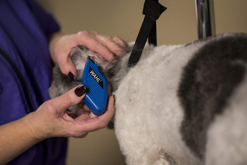 [Australia] - Wahl Professional Animal Pocket Pro Horse, Dog, Cat, and Pet Compact Trimmer and Grooming Kit Blue 