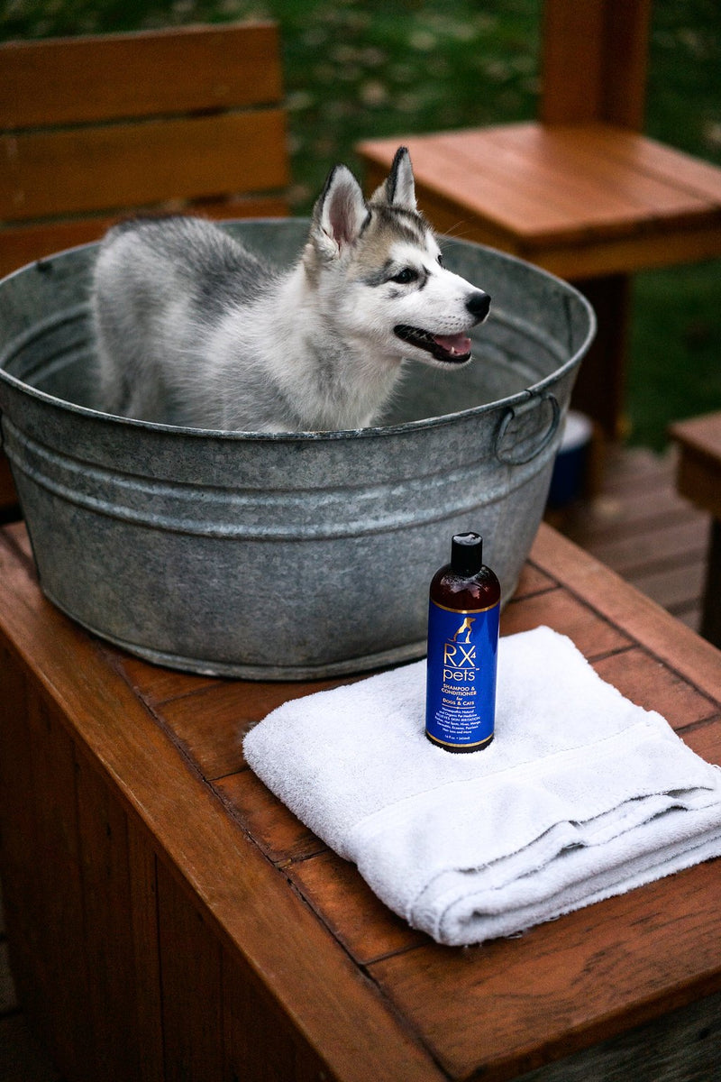 [Australia] - RX4 Dog Cat Shampoo Conditioner - Naturally Organic Oatmeal Aloe Puppy Treatment, Supplies Relief for Smelly Pets, Mange, Dry Itchy Skin, No More Scratching,16oz 