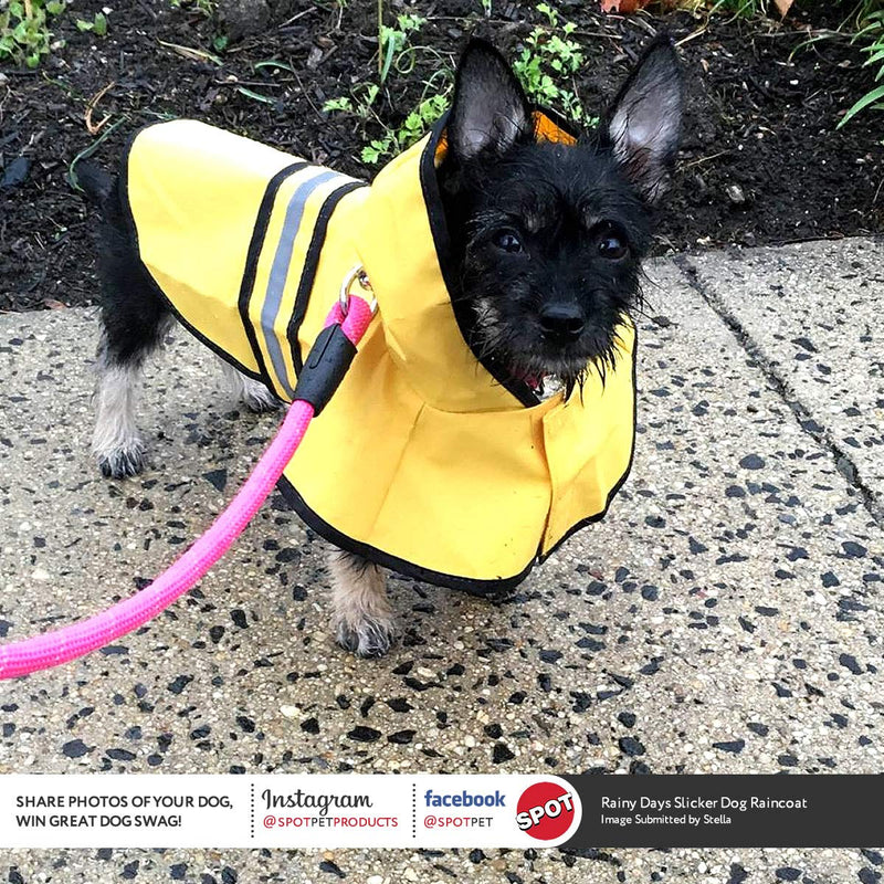 [Australia] - Fashion Pet Dog Raincoat For Small Dogs | Dog Rain Jacket With Hood | Dog Rain Poncho | 100% Polyester | Water Proof | Yellow w/ Grey Reflective Stripe | Perfect Rain Gear For Your Pet! by Ethical Pet 