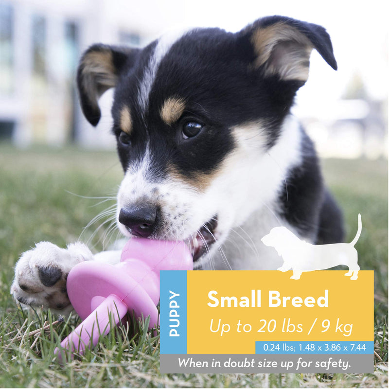 KONG - Puppy Binkie - Soft Teething Rubber, Treat Dispensing Dog Toy Small Blue - PawsPlanet Australia