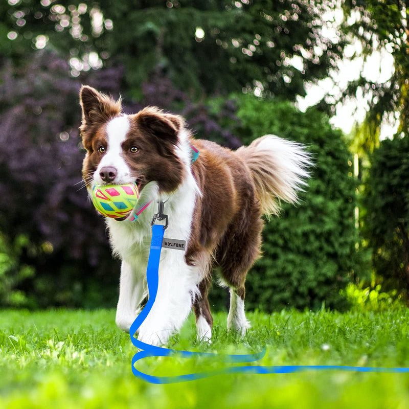 Wolfone 15m blue towing leash for dogs, waterproof training leash, durable and easy-care leash, suitable for recall, swimming, camping, beach, hunting, walks - PawsPlanet Australia