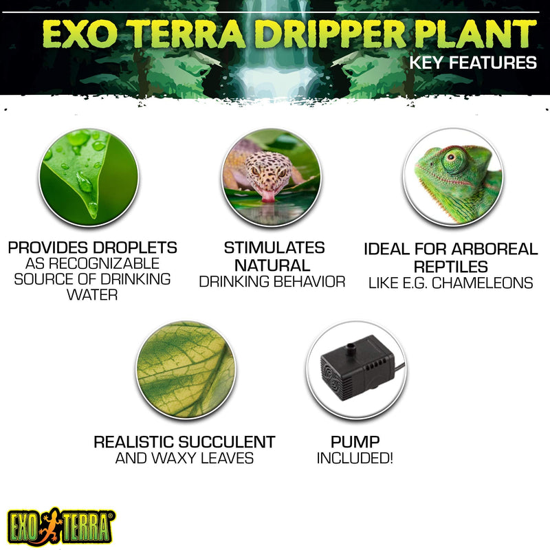 Exo Terra Dripper Plant, Small S - PawsPlanet Australia