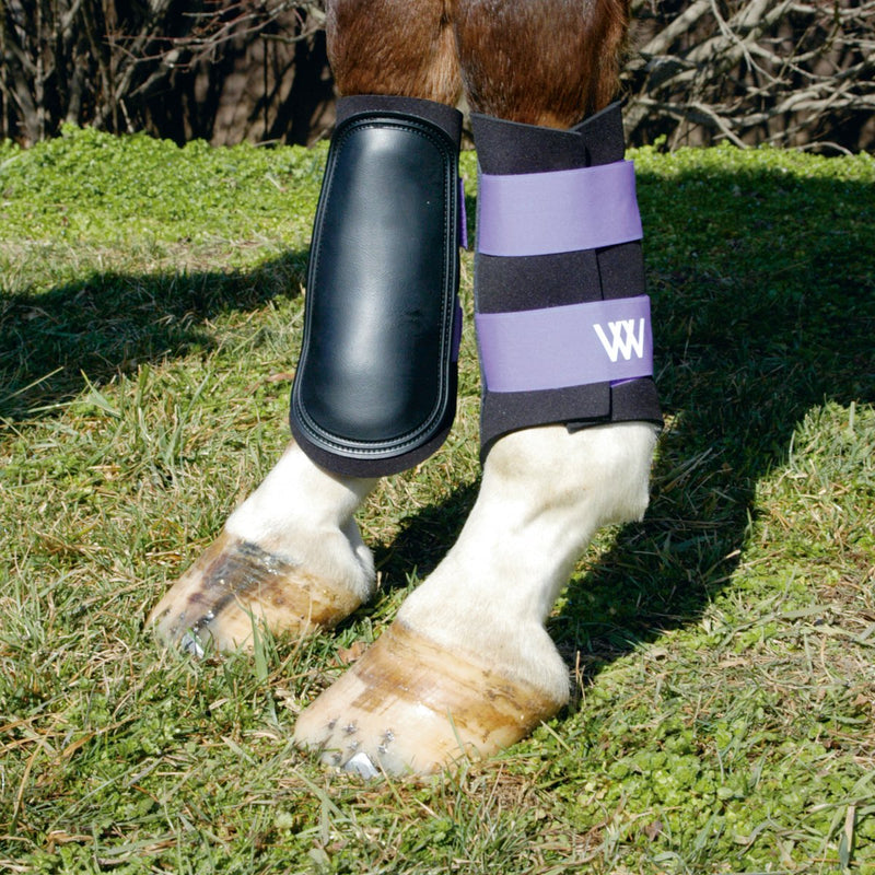 [Australia] - WOOF WEAR Sport Brushing Boots Black Medium 