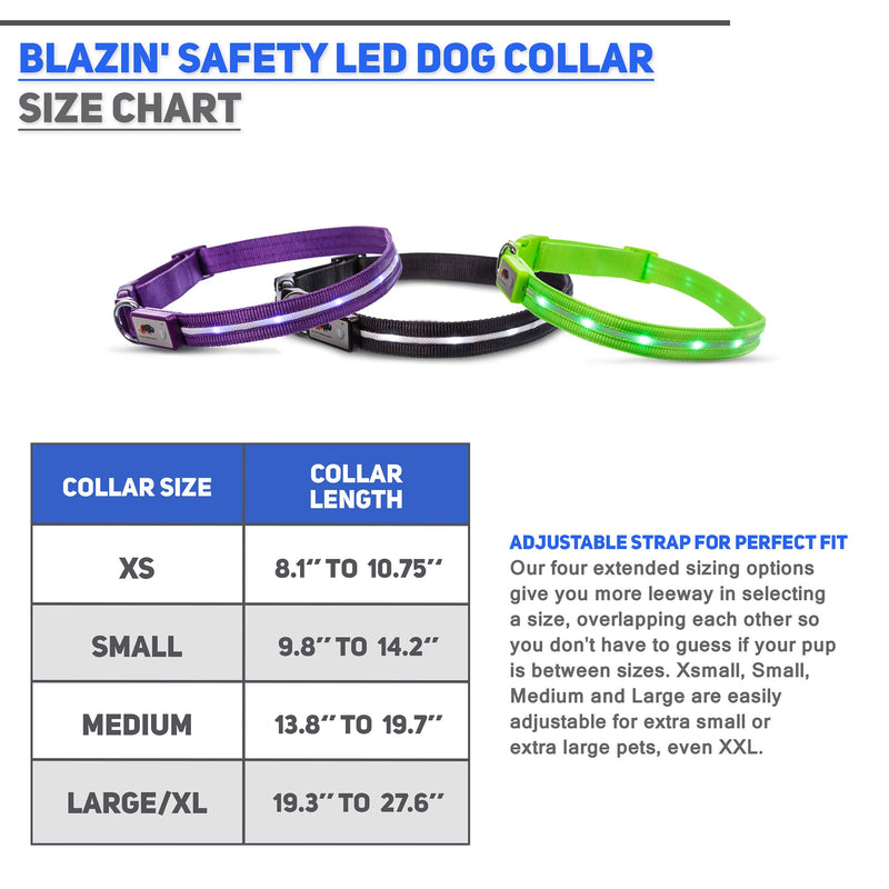 Blazin Safety LED Dog Collar - USB Rechargeable With Water Resistant Flashing Light XSmall Black X-Small - PawsPlanet Australia