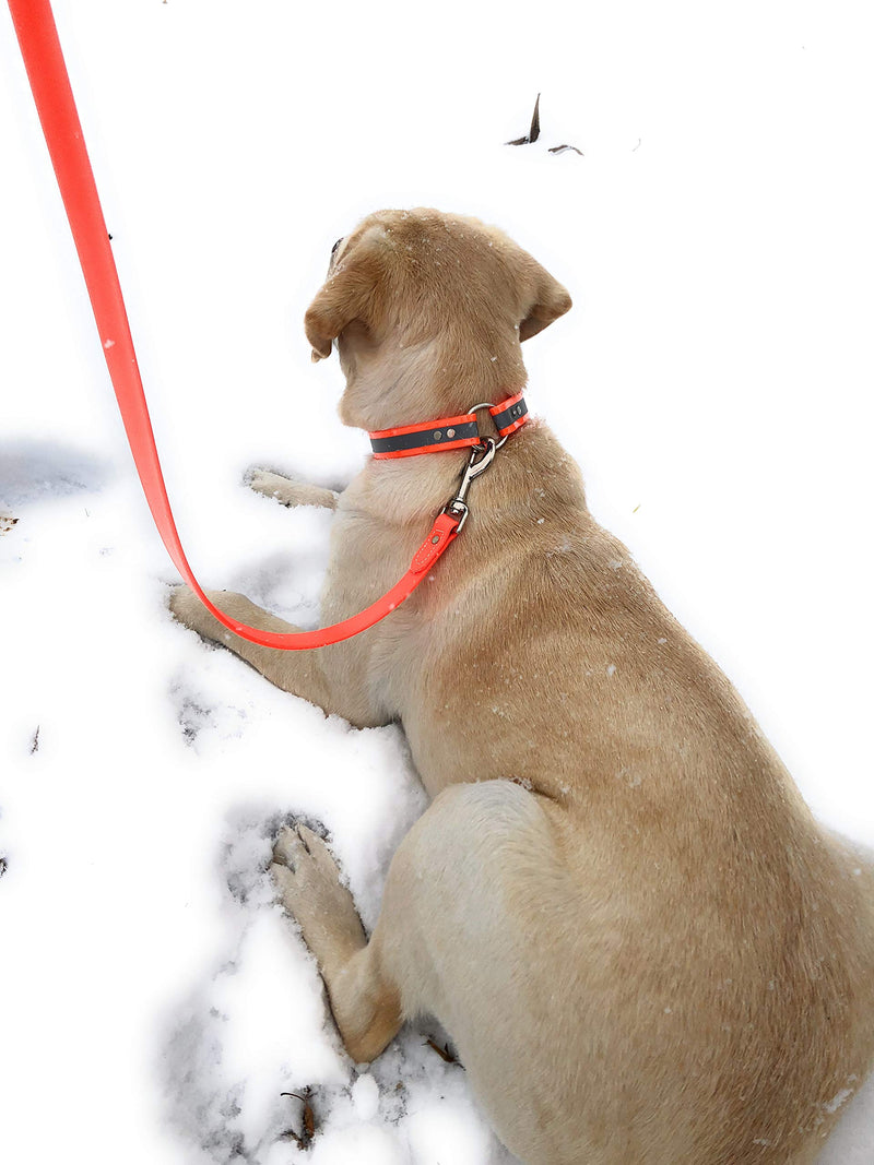 [Australia] - Waterproof Dog Leash | for Small, Medium, or Large Dogs Orange 