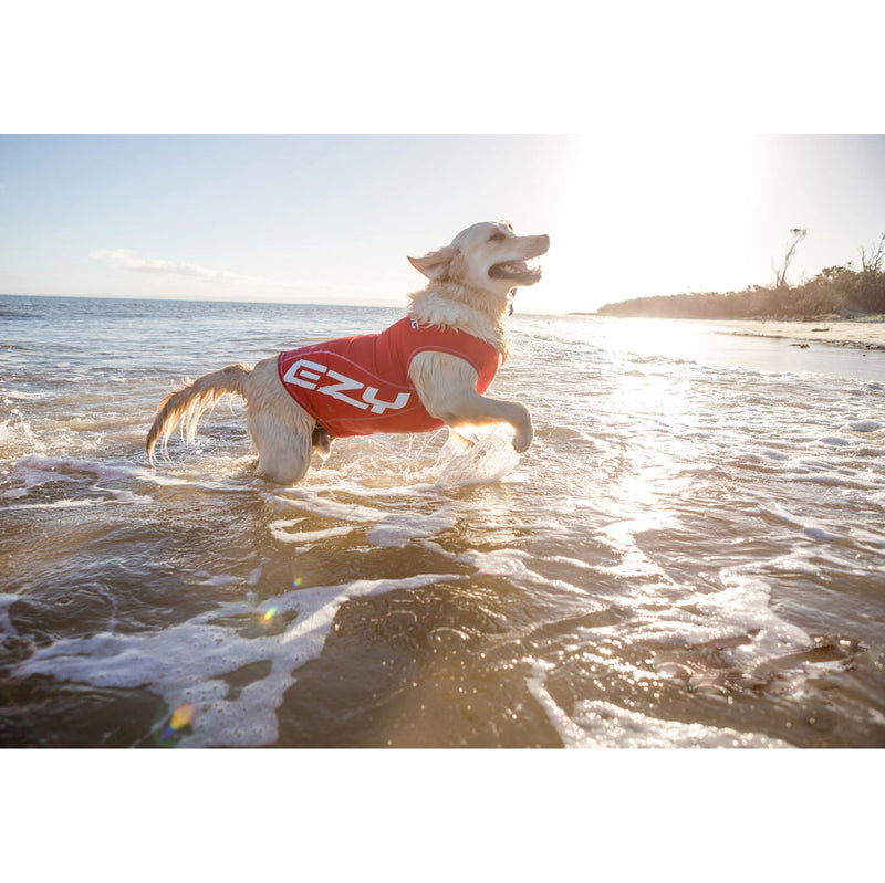 EzyDog Rash Vest, Large L - PawsPlanet Australia