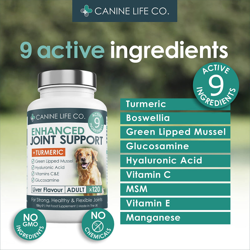 Enhanced Adult Dog Joint Supplements | Dog Anti Inflammatory | Joint Aid For Dogs | 120 Chewable Tablets | With Turmeric For Dogs, Glucosamine For Dogs & Green Lipped Mussel | Made In The UK - PawsPlanet Australia