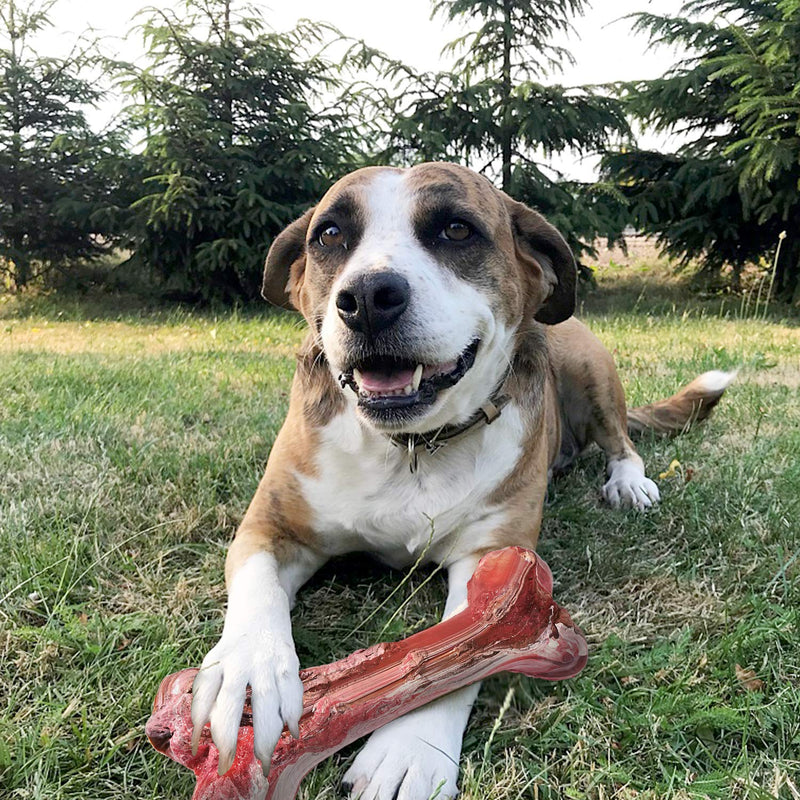 [Australia] - GLANDU Dog Chew Toys for Aggressive Chewers, Durable Dog Toys, Indestructible Dog Bones for Medium Large Breed Dogs Pets 