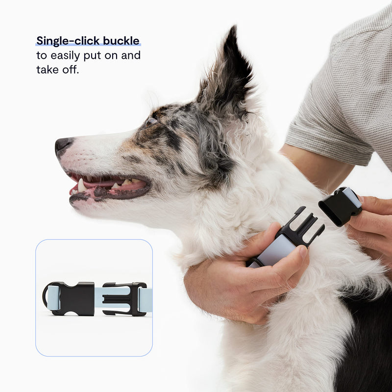 Fable Waterproof Signature Collar - Light Blue - Large - PawsPlanet Australia
