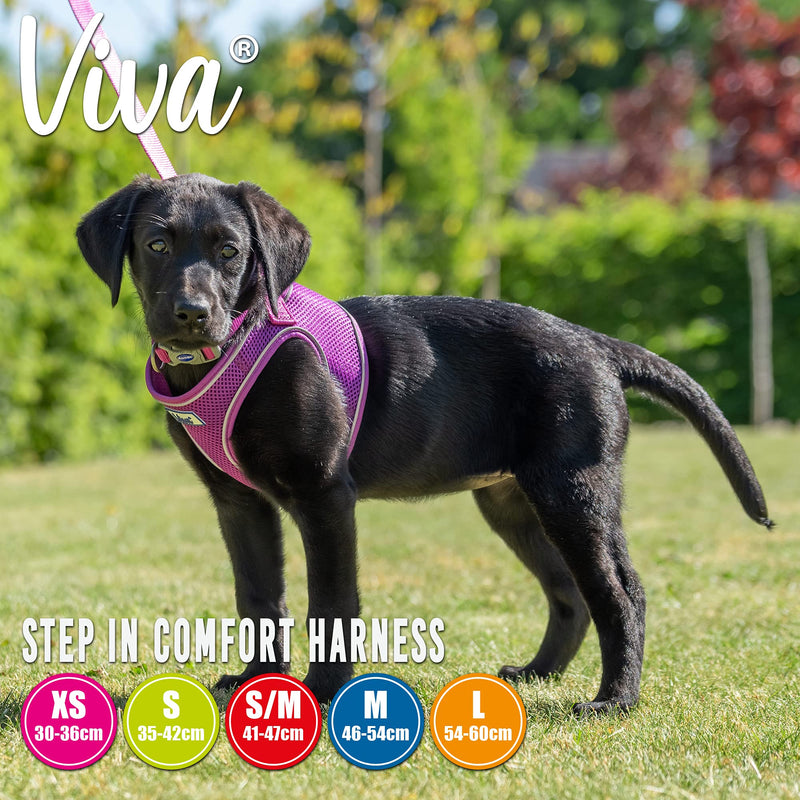 Ancol Viva Step-in Comfort Harness Purple. X-Small- To Fit 30-36cm - PawsPlanet Australia
