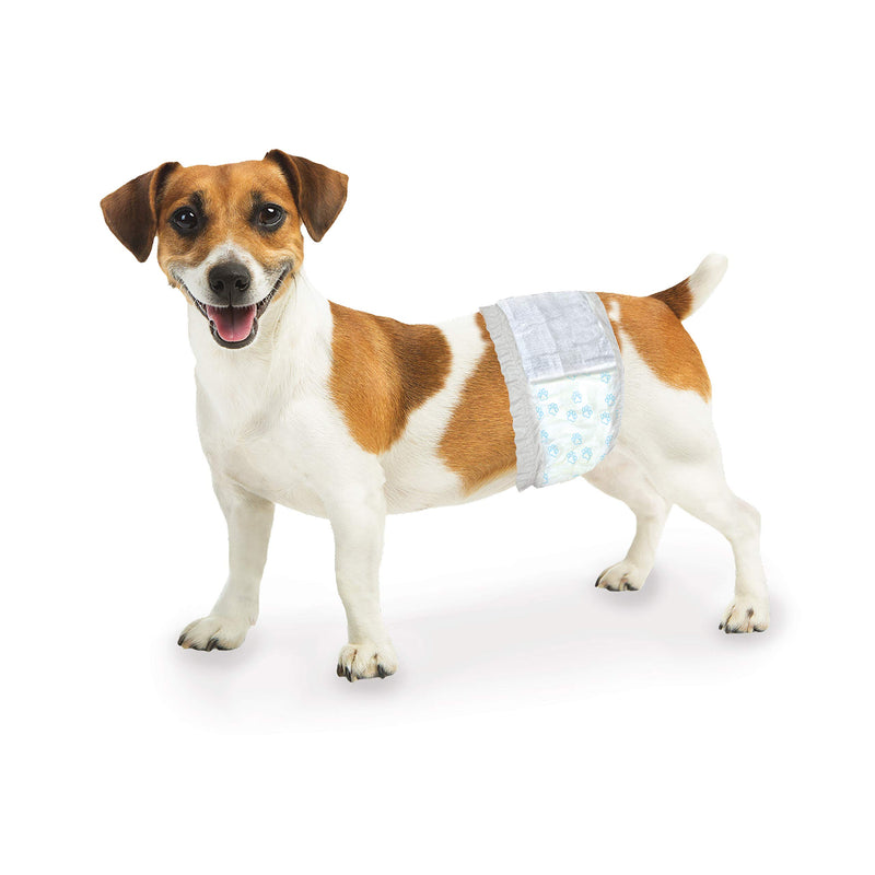 [Australia] - Four Paws Wee-Wee Disposable Male Dog Wraps, White, X-Small/Small, Model Number: 100539681 