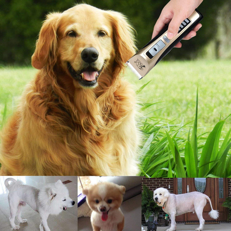Dog Clippers -【with 2 Shaving Heads】 Pet Clippers Low Noise Rechargeable Cordless Dog Trimmers Professional Animal Grooming Shavers for Thick Hair Dogs, Cats, Rabbits and Horses (Gold3) Gold - PawsPlanet Australia