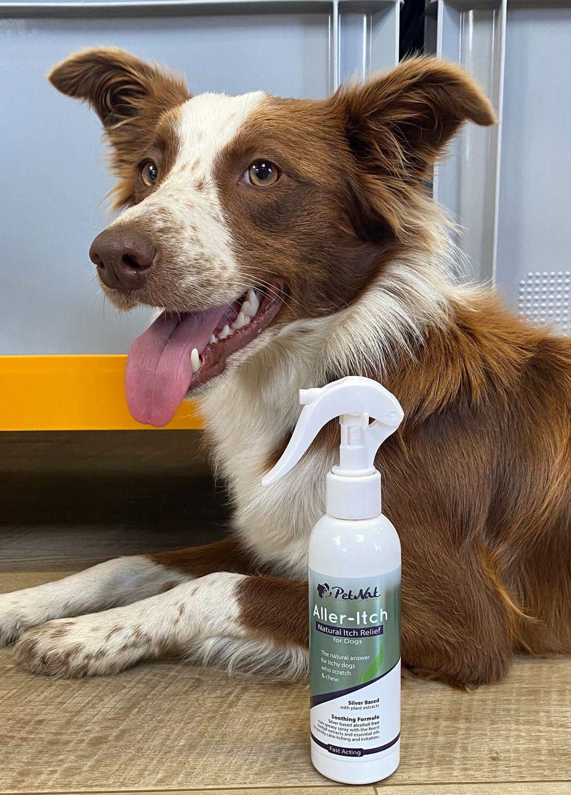 Petnat Aller-itch Spray for Dogs - Silver Based Natural Relief from Itching & Irritations from Grasses, Pollens & Dust Mites - PawsPlanet Australia