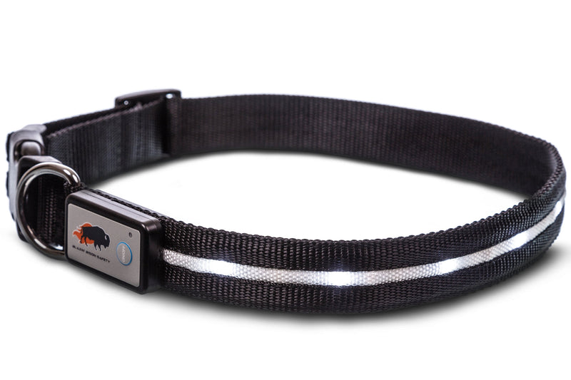 [Australia] - Blazin' Safety LED Dog Collar – USB Rechargeable with Water Resistant Flashing Light Small Black 