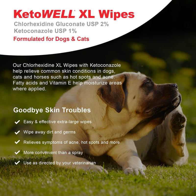 VetWELL Chlorhexidine Wipes for Dogs - Medicated Wipes for Dogs & Cats - Stop Itching, Scratching, Commong Skin Conditions & More - Fast-Acting Medicated Dog Wipes - 60 XL Wipes - PawsPlanet Australia
