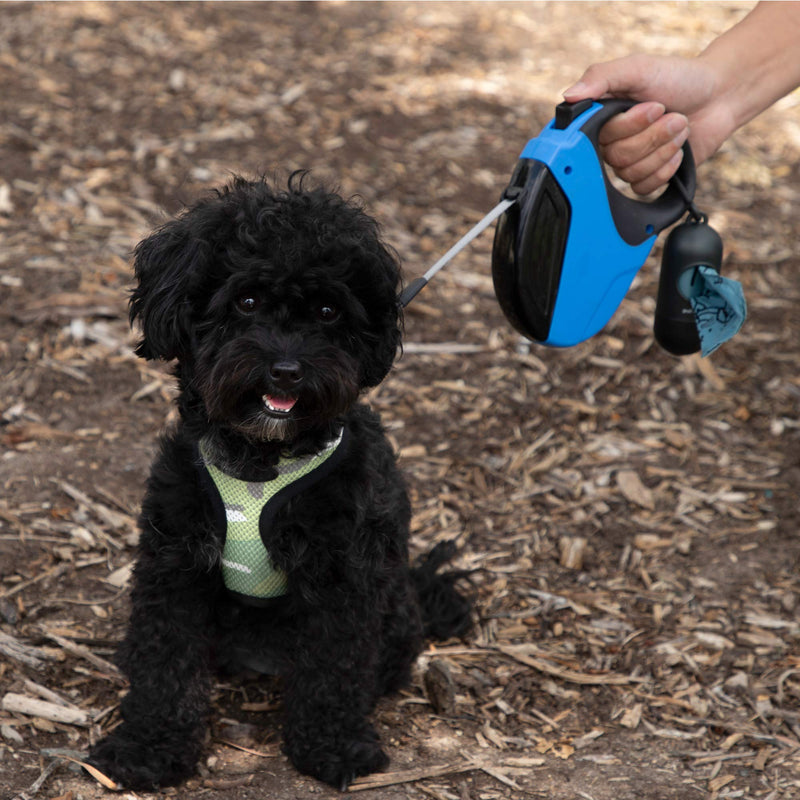 [Australia] - Paws & Pals Dog Poop Bag - Eco-Friendly, Large & Leak-Proof w/Dispenser Holder & Leash Clip - Best for Walking Dogs Pet Waste - 360 Pack, 24 Roll Refills x 15 Bags - Heavy Duty, Unscented or Scented Blue Scented - Ocean 