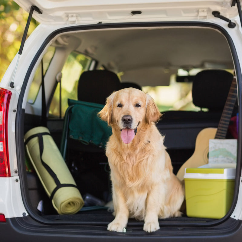 [Australia] - PETMAKER Cargo Liner Dog Seat Cover- Quilted Waterproof All Weather Non-Slip Pet Travel Mat with Side Coverage and Bumper Flap Protector for SUVs 