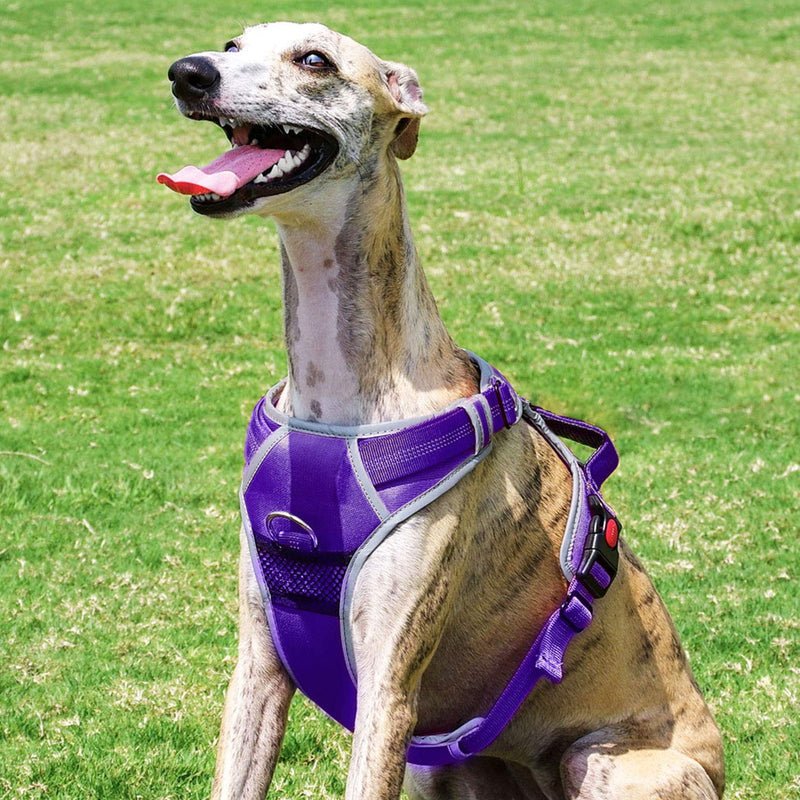 [Australia] - ThinkPet No Pull Harness Breathable Sport Harness with Handle - Reflective Padded Dog Safety Vest Adjustable Harness, Back/Front Clip for Easy Control L(chest 17 - 35 inch/neck 18 -26 inch) Purple 