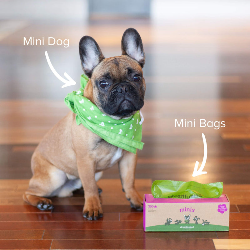 [Australia] - Earth Rated Mini Poop Bags, Lavender-Scented, Pet Waste Bags for Small Dogs, 300 Bags on a Single Roll, Each Dog Poop Bag Measures 6.5 x 9.5 inches 