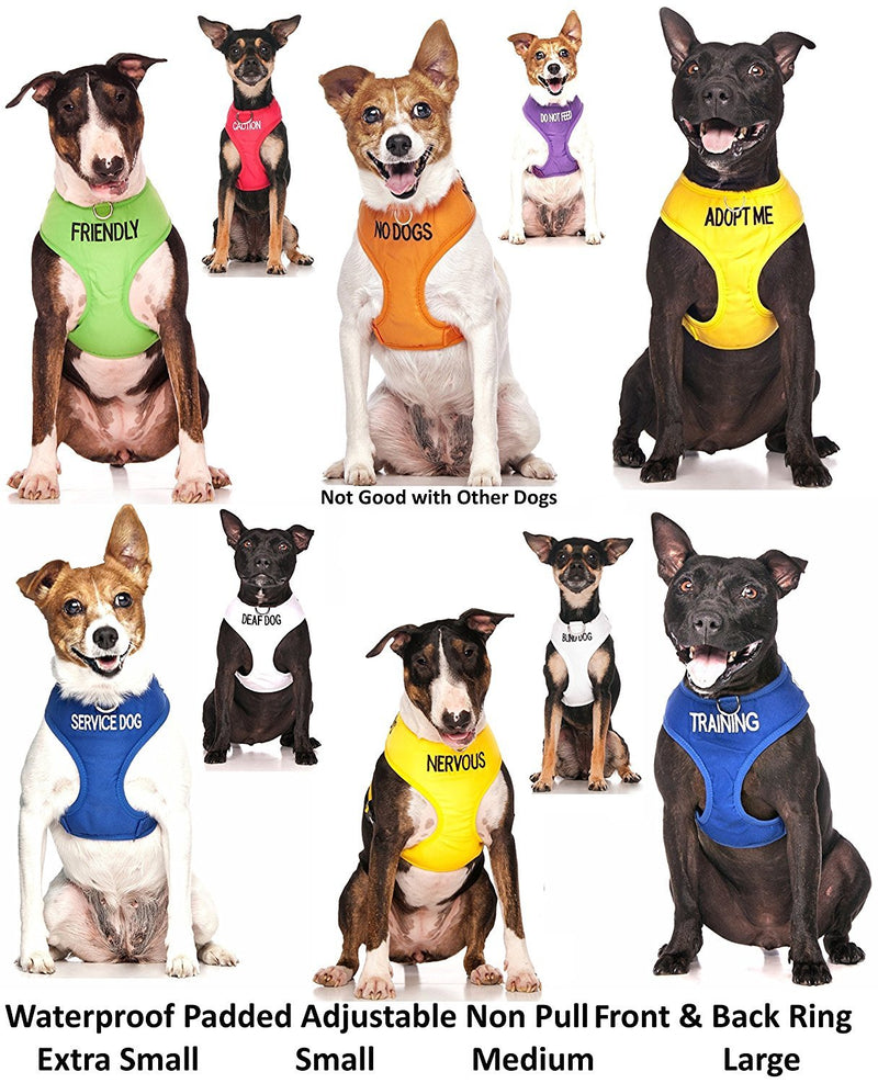 FRIENDLY (Known as Friendly to all) Green Colour Coded Non-Pull Front and Back D Ring Padded and Waterproof Vest Dog Harness PREVENTS Accidents By Warning Others Of Your Dog In Advance (L) Large Harness - PawsPlanet Australia