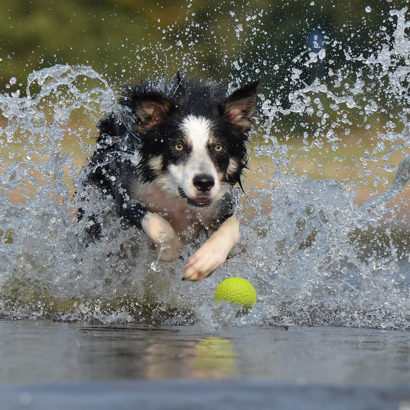 DLDER Dog Balls Toys for Aggressive Chewers, Indestructible Bouncy Dog Ball, Lightweight&Floating, Durable Dog Chew Ball for Large&Medium Dogs to Fetch and Play. Durable dog ball - PawsPlanet Australia