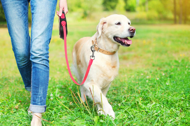 [Australia] - Retractable Dog Leash, 16 FT Strong Anti-bite Nylon Pet Walking Leash for Small and Medium-Sized Dog up to 45lb, One-Hand Brake Lock & Release, Tangle Free 